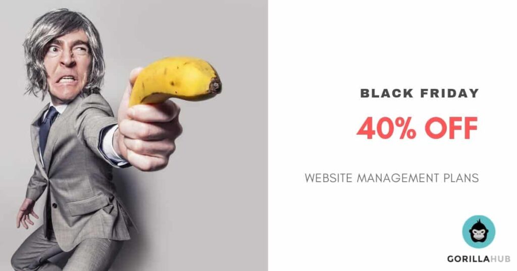 Black Friday Offer 40% off website management plans